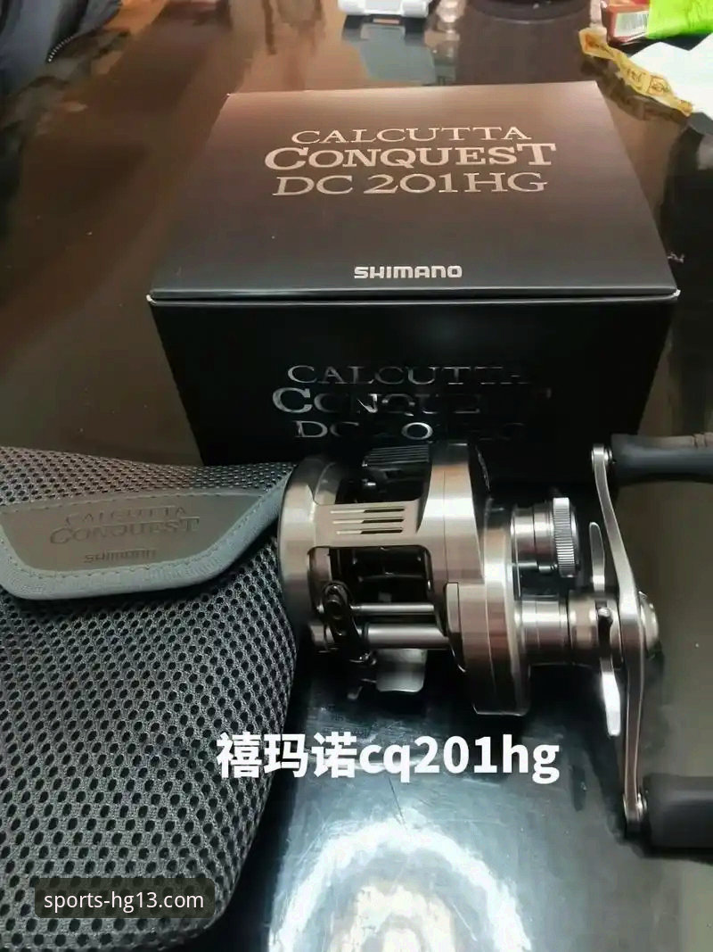 HG13体育最新版本下载对比 揭秘HG13体育平台:最新版本下载对比与深度技术评测
